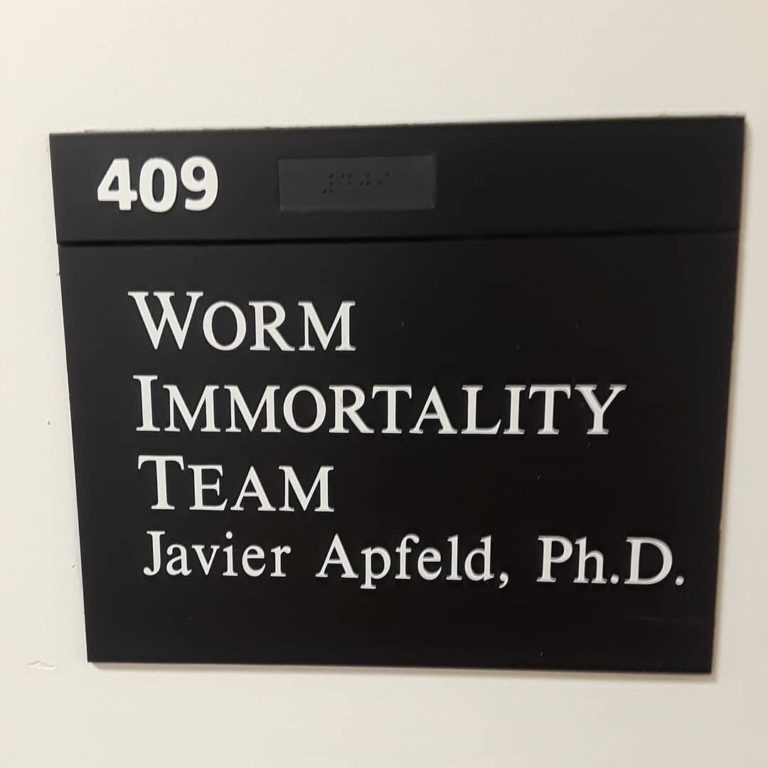 quality inn and suites - 409 Worm Immortality Team Javier Apfeld, Ph.D.