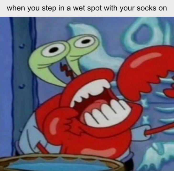 mr crab meme - when you step in a wet spot with your socks on