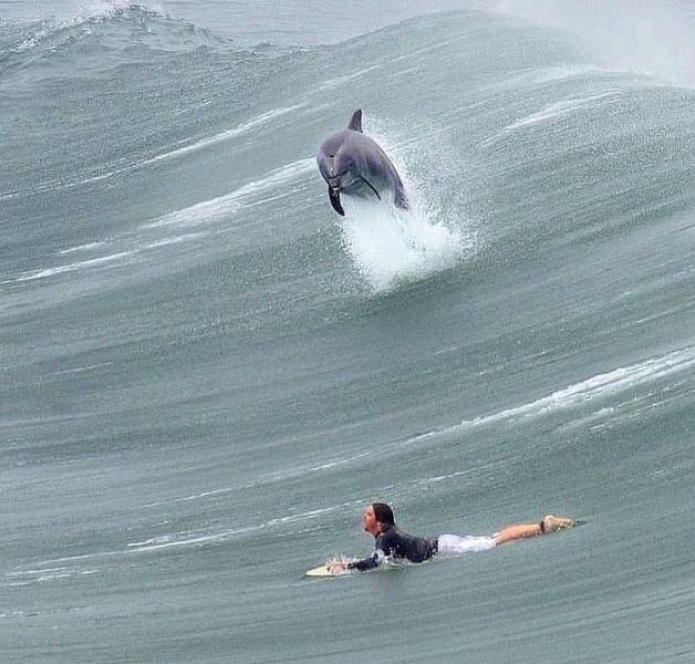 beautiful surfing