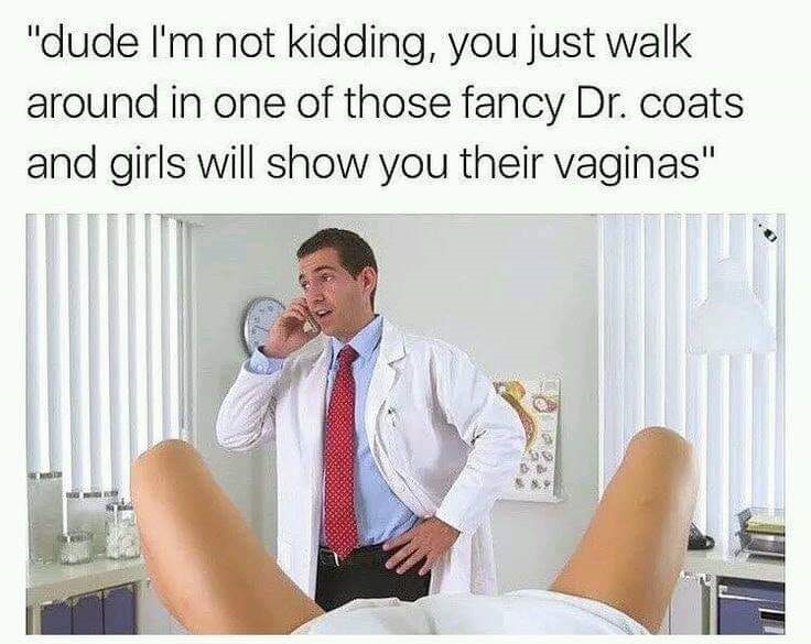 meme of how gynecologist free - "dude I'm not kidding, you just walk around in one of those fancy Dr. coats and girls will show you their vaginas"