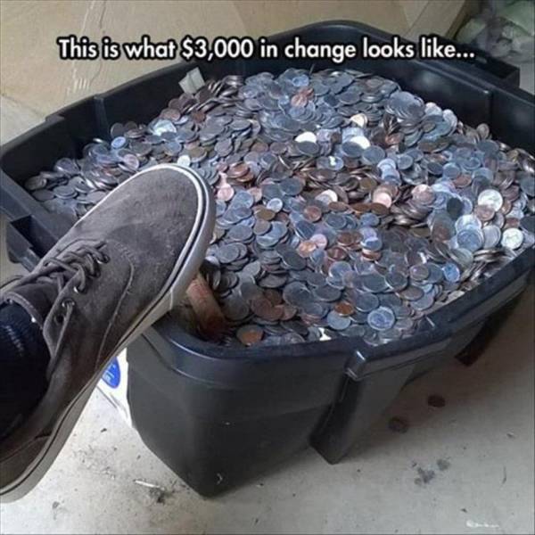 cookware and bakeware - This is what $3,000 in change looks ...