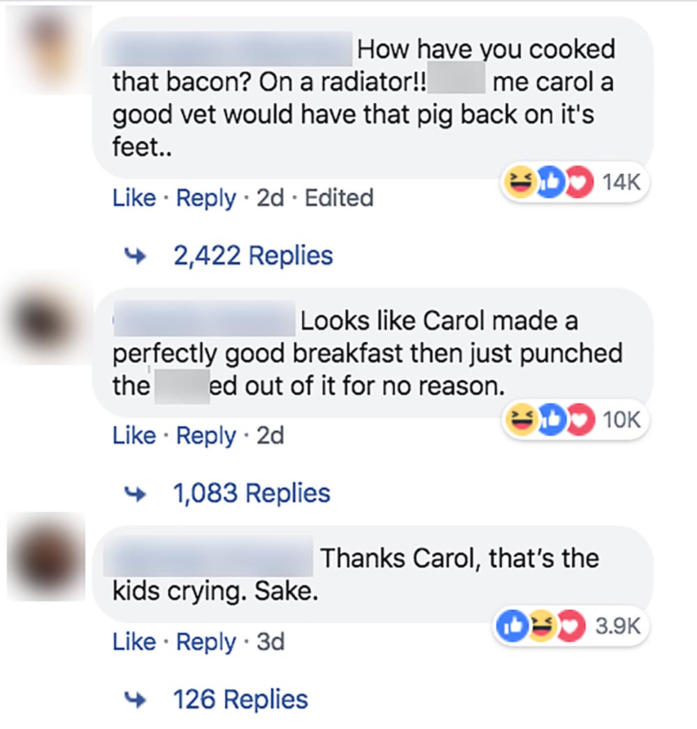 memes - web page - How have you cooked that bacon? On a radiator!! me carol a good vet would have that pig back on it's feet.. D 14K 20 Edited 4 2,422 Replies Looks Carol made a perfectly good breakfast then just punched the ed out of it for no reason. D 