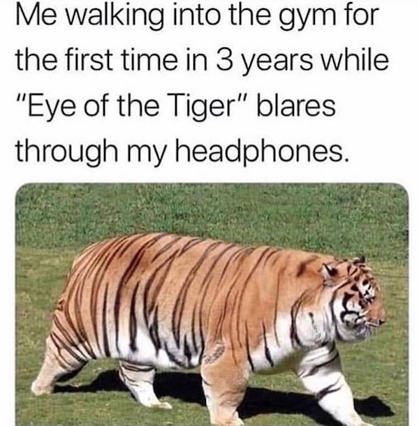 silly memes - Me walking into the gym for the first time in 3 years while "Eye of the Tiger" blares through my headphones.