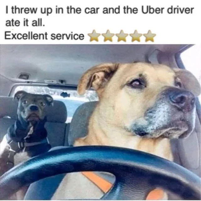 memes - memes uber - I threw up in the car and the Uber driver ate it all. Excellent service