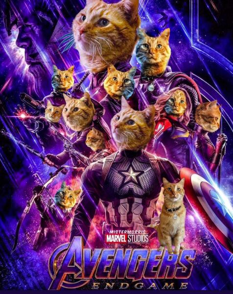 Avengers Endgame poster replaced with cat heads