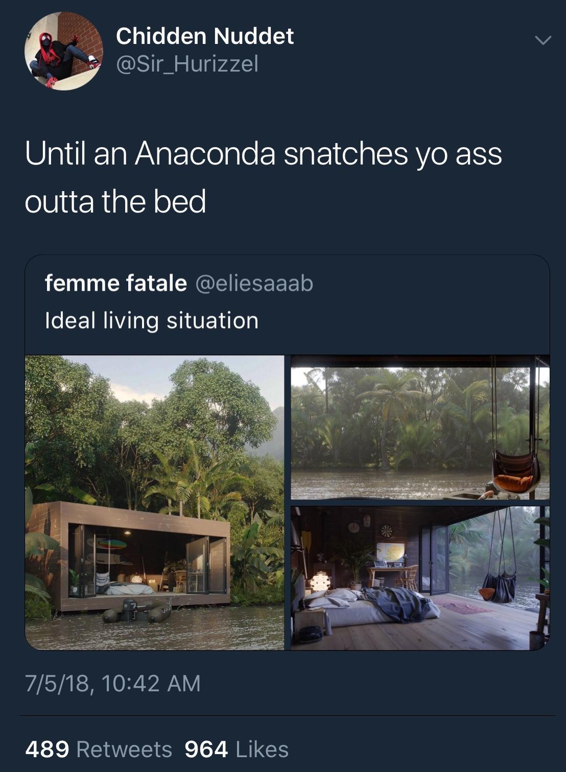 pic -ideal living situation - Chidden Nuddet Until an Anaconda snatches yo ass outta the bed femme fatale Ideal living situation 7518, 489 964