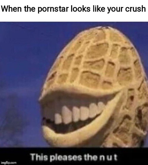 memes that make me laugh - When the pornstar looks your crush Dddd This pleases the nut imgflip.com