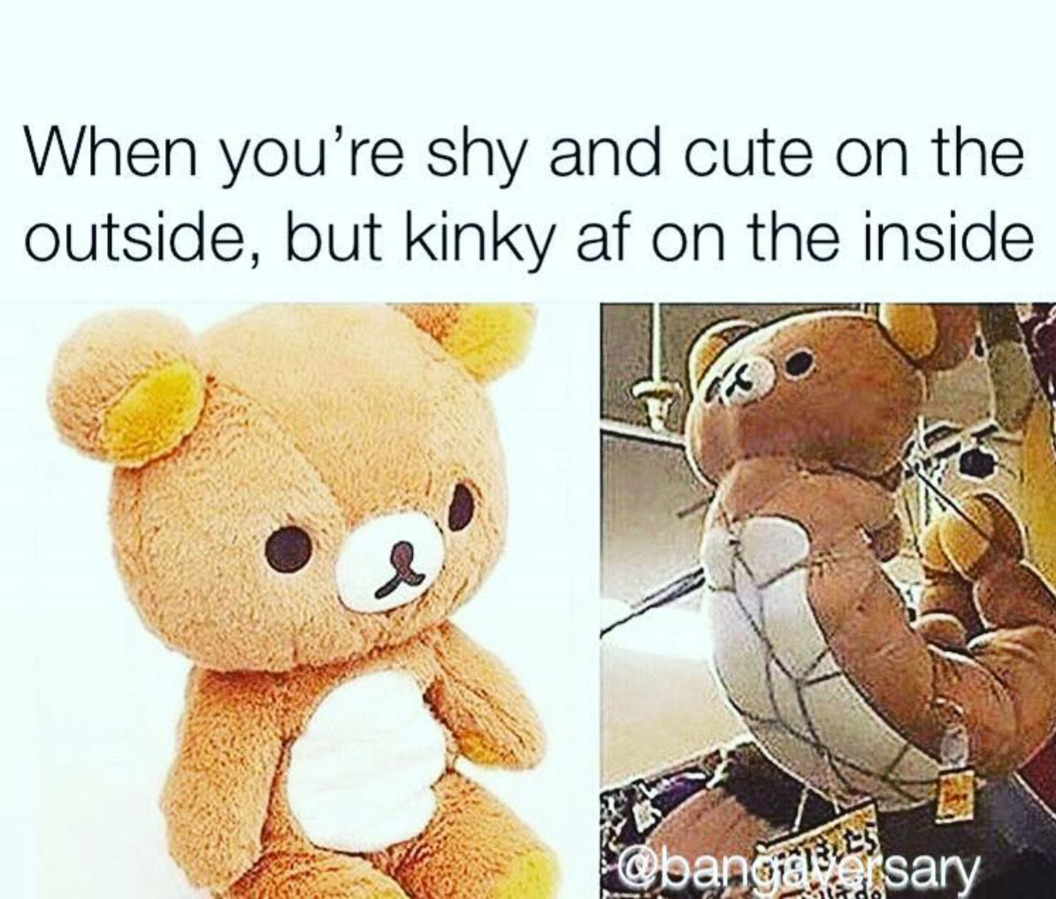 sex memes - When you're shy and cute on the outside, but kinky af on the inside sary