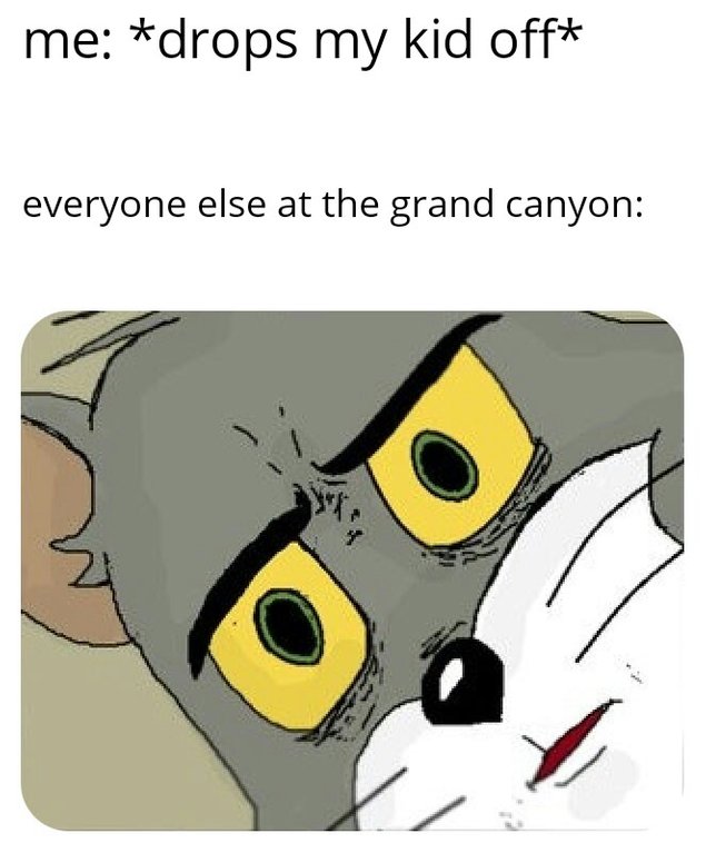 Funny Jerry meme that says 'drops my kid off' 'everyone else at the grand canyon'