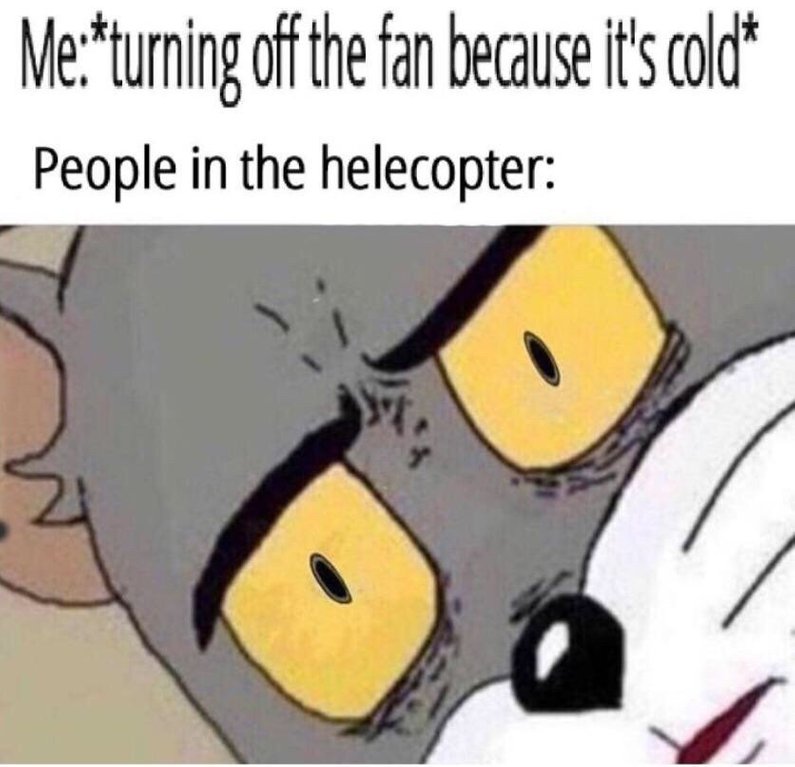 Funny Meme of Jerry the cat that says 'Me turning off the fan because it's cold' 'People in the helecopter'