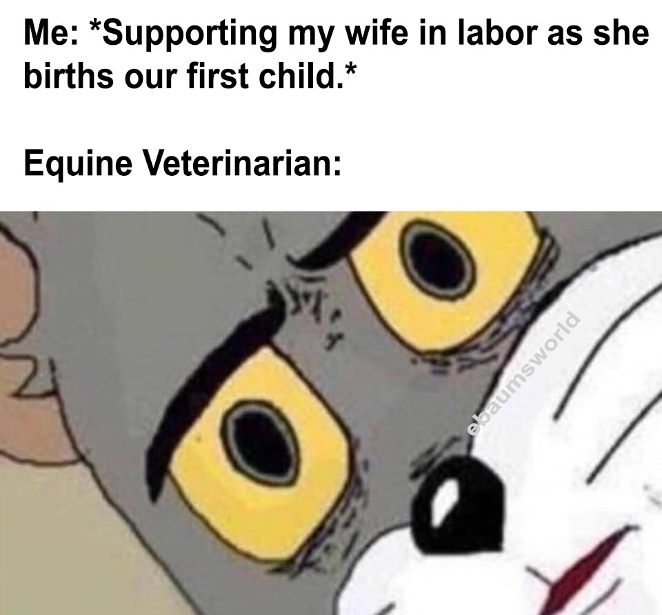 Unsettled tom wife in labor at the veterinarian meme - ebaumsworld original content