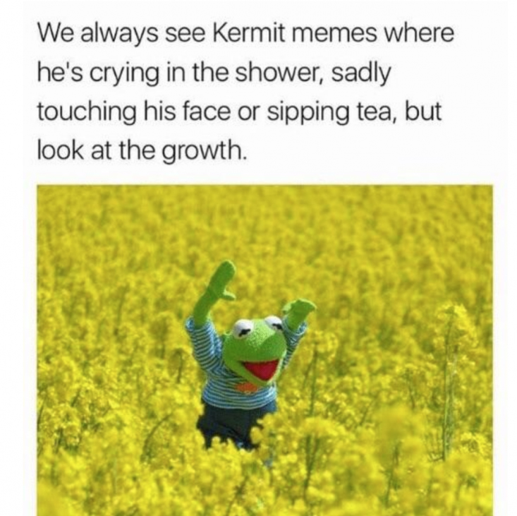 Wholesome Kermit the Frog meme running through a field. 
