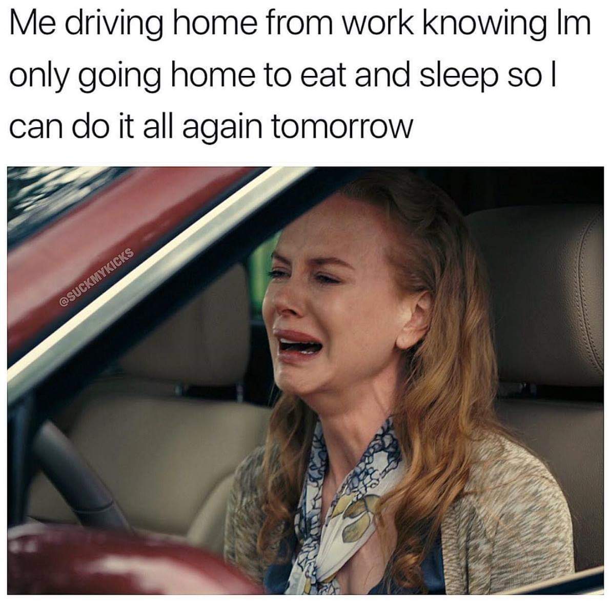 meme - work memes - Me driving home from work knowing Im only going home to eat and sleep so| can do it all again tomorrow