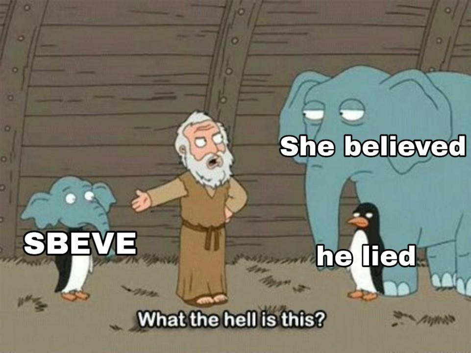 Sbeve meme what the hell is this