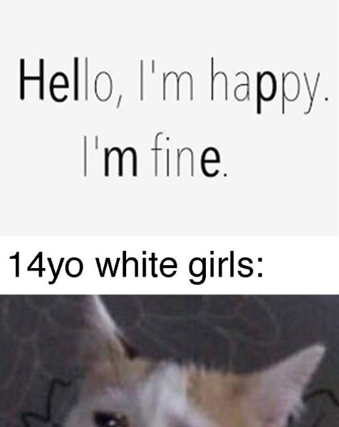 14 year old girls cat meme - Hello, I'm happy. I'm fine. 14yo white girls