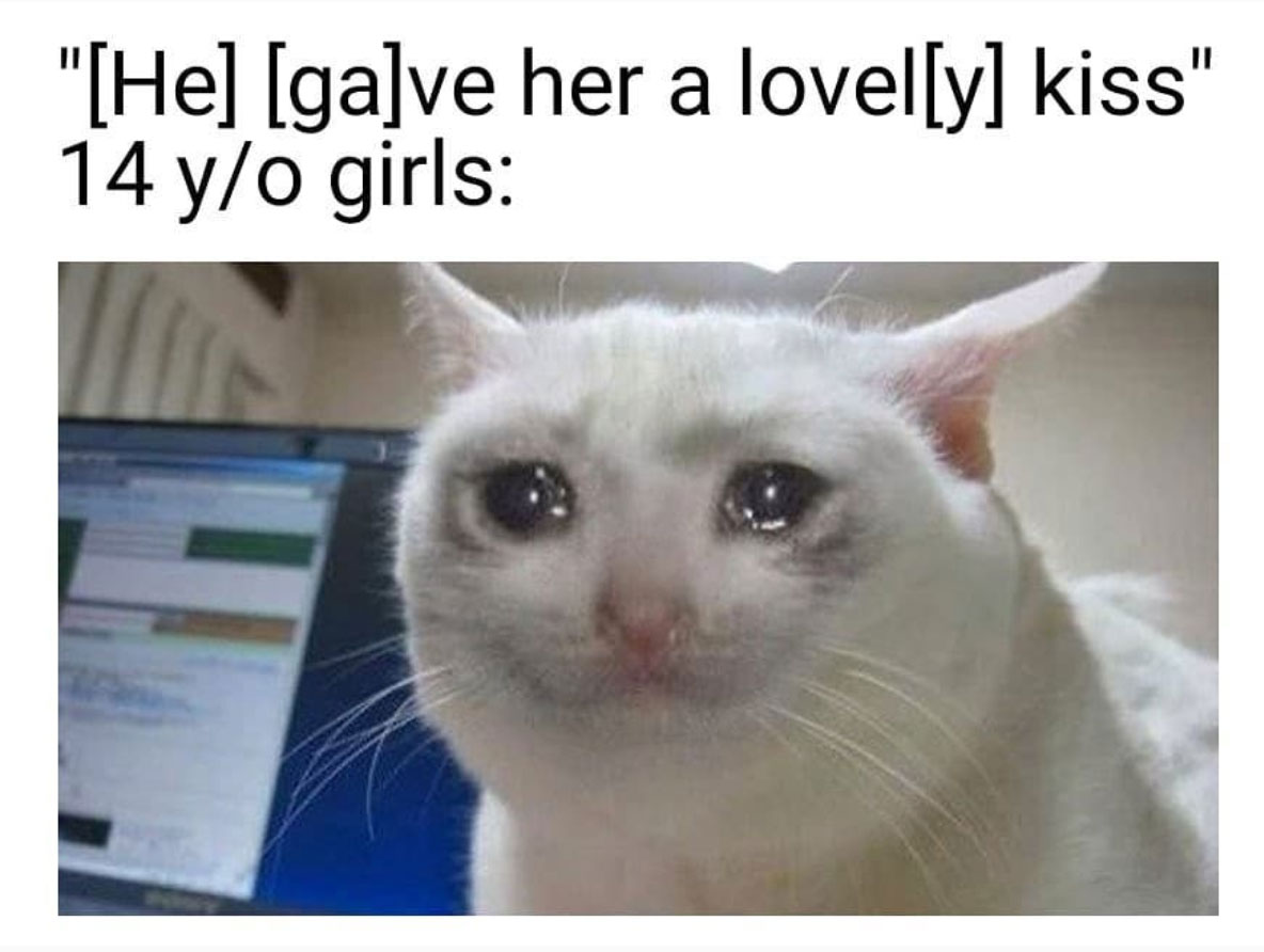 14 yr old nibba memes - "He gave her a lovely kiss" 14 yo girls