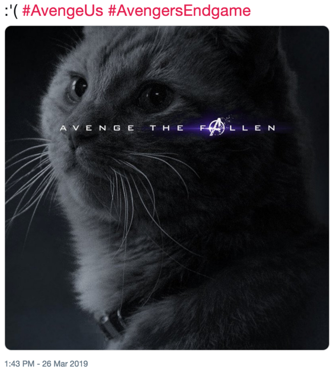 Avenge the Fallen meme poster - Cat