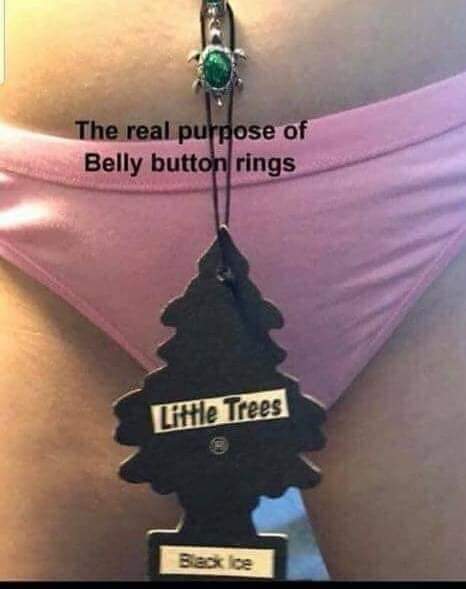 funny meme of Humour - The real purpose of Belly button rings Little Trees Back loe