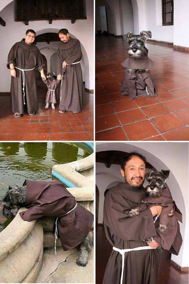 cool pic of brazilian monks