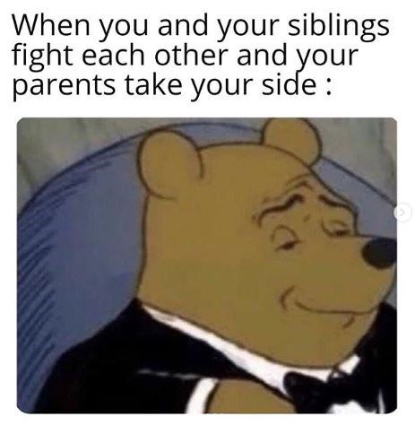 Tuxedo Winnie the Pooh meme - When you and your siblings fight each other and your parents take your side