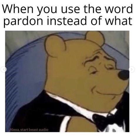 When you use the word pardon instead of what with a picture of winnie the pooh in a tuxedo