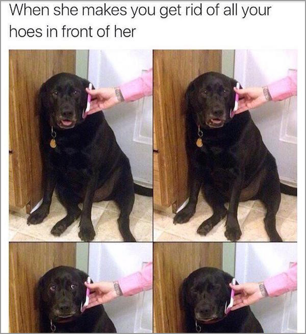 dog talking on phone meme - When she makes you get rid of all your hoes in front of her