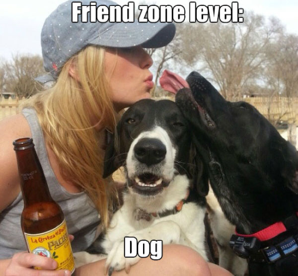 random cool pic of friend zone level dog - Friend zone level 4 Cervera fact Dog