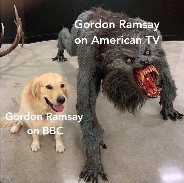 kid icarus memes - Gordon Ramsay on American Tv Gordon Ramsay on Bbc