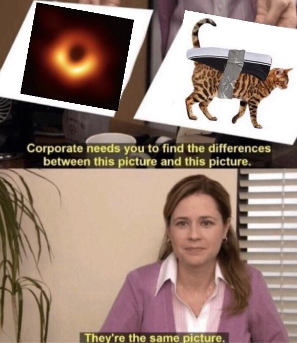 Photo of the black hole and a photo of a cat with a shoe taped on it, with the caption, they're the same picture.