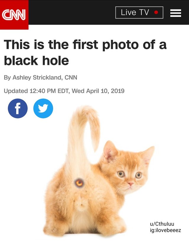 First ever photo of a black hole meme with the black hole as a cat's butthole.