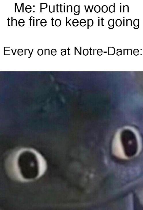 Putting wood in the fire to keep it going. Every one at Notre-Dame meme.