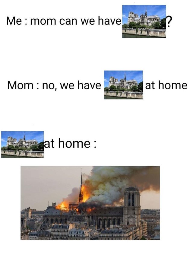 Mom can we have meme with the Notre Dame burning down. 