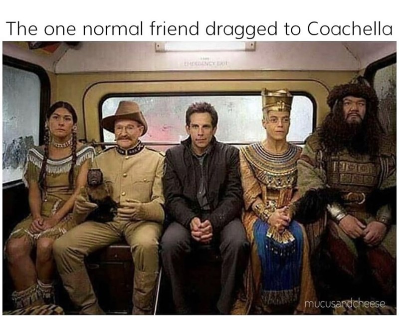 The one normal friend dragged to Coachella meme