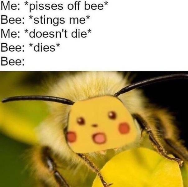 surprised pikachu meme - Me pisses off bee Bee stings me Me doesn't die Bee dies Bee