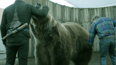 Game of Thrones behind the scenes - grizzly bear