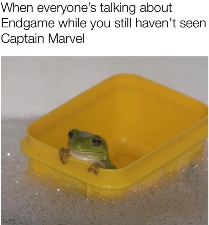 Funny meme When everyone's talking about Endgame while you still haven't seen Captain Marvel