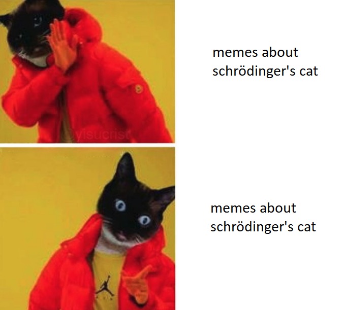 Funny meme - christmas black cat - memes about schrdinger's cat Sucrist memes about schrdinger's cat