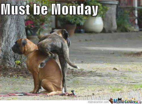 Funny monday memes - must be monday