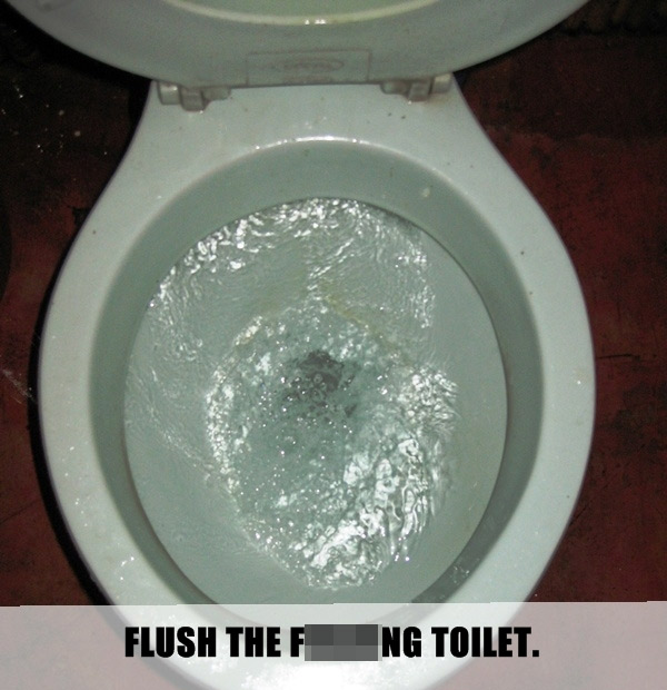 lifehack unwritten rule about toilet seat - Flush The F Ng Toilet.