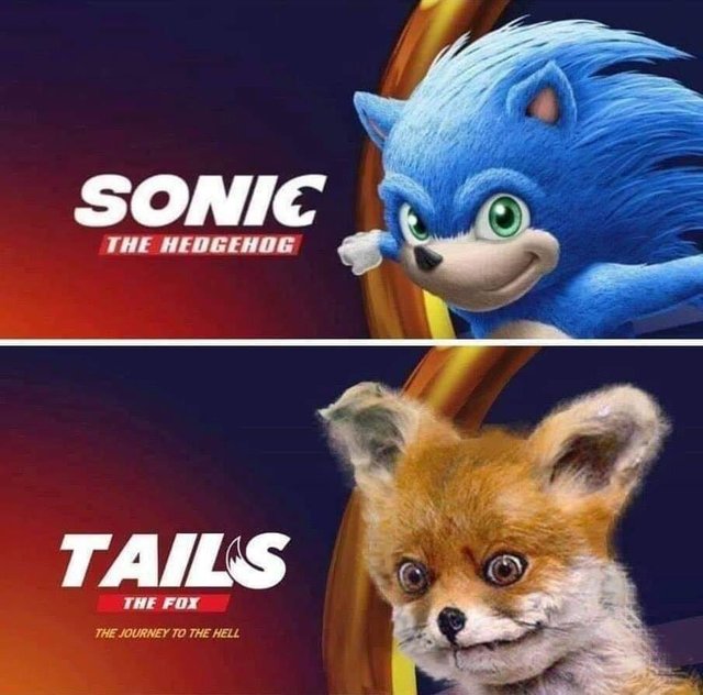 Sonic The Hedgehog Movie Meme -sonic film - Sonic The Hedgehog Tails The Fox The Journey To The Hell