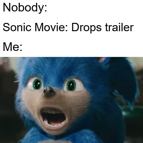 Sonic The Hedgehog Movie Meme - Nobody Sonic Movie Drops trailer Me