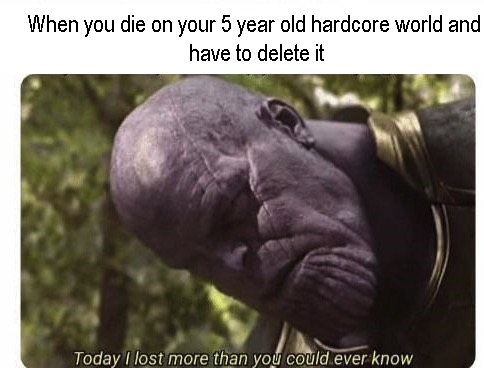 dank memes - you have to delete half of your memes - When you die on your 5 year old hardcore world and have to delete it Today I lost more than you could ever know