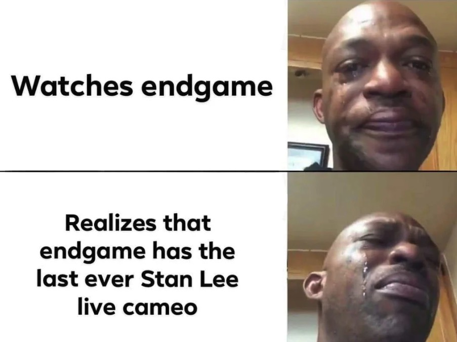 dank memes - cadia meme - Watches endgame Realizes that endgame has the last ever Stan Lee live cameo