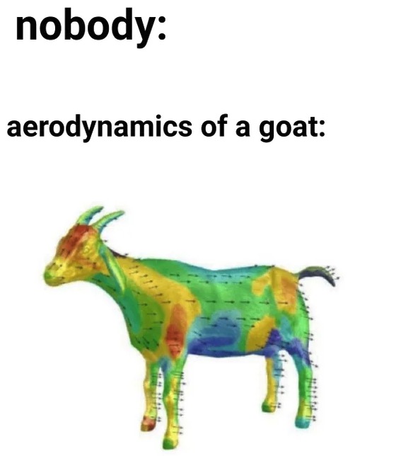 dank memes - aerodynamics of a goat - nobody aerodynamics of a goat