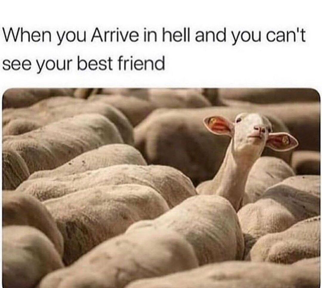 Funny relatable memes - best friend memes - When you Arrive in hell and you can't see your best friend