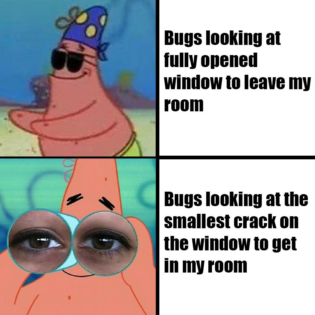 Funny relatable memes - blind beard the pirate - Bugs looking at fully opened window to leave my room Bugs looking at the smallest crack on the window to get in my room