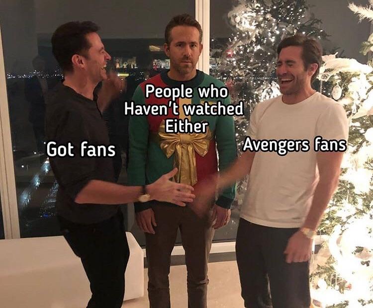 Funny relatable memes - People who Haven't watched Either Got fans Avengers fans