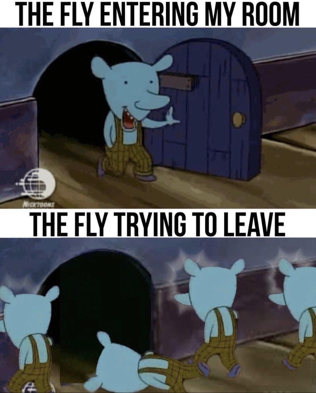 Funny relatable memes - nope catdog meme - The Fly Entering My Room Tortoons The Fly Trying To Leave
