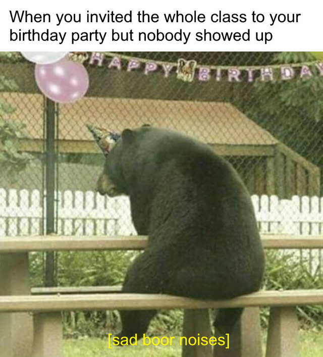 Funny relatable memes - funny bear - When you invited the whole class to your birthday party but nobody showed up Happ Partrir A sad boor noises