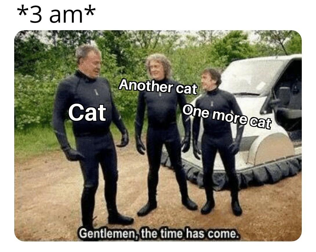 Funny relatable memes - Meme - 3 am Another cat Cat One more cat Gentlemen, the time has come.